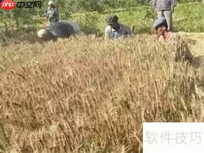 麦田怪圈之谜：外星人杰作还是人类恶作剧？