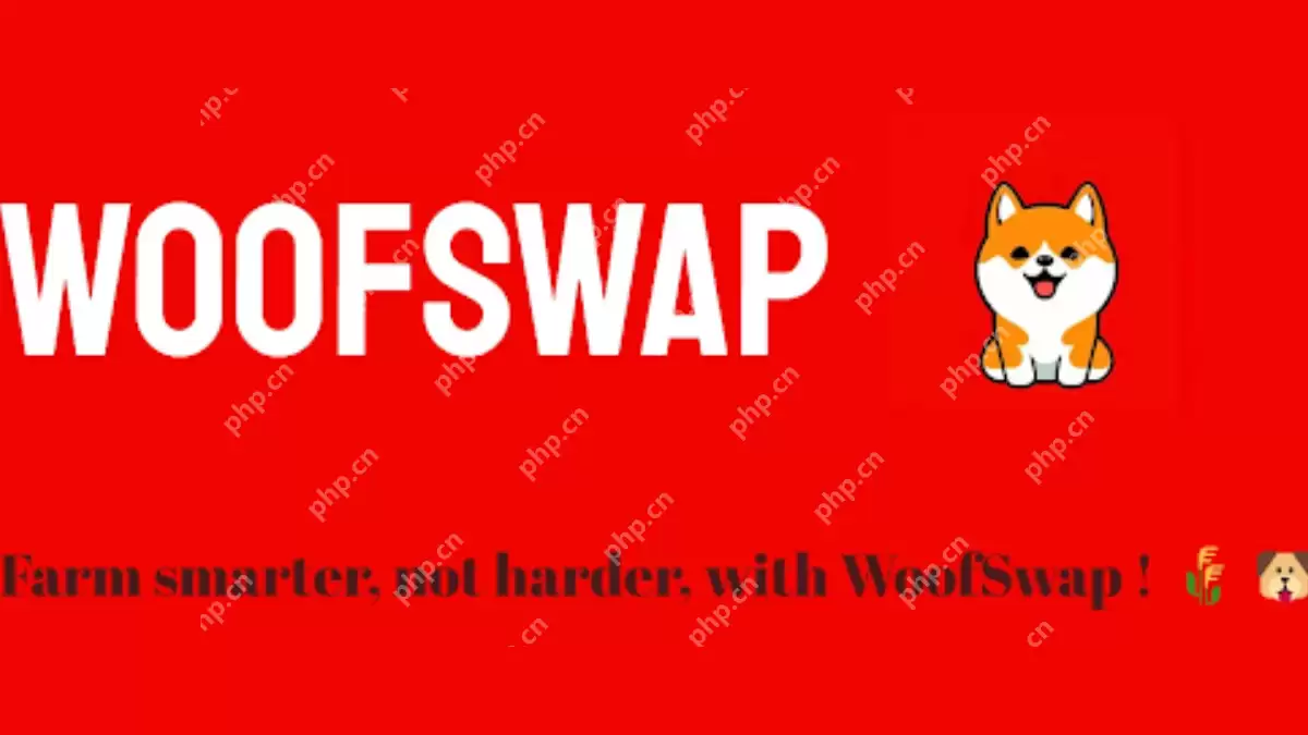 Shibarium Builder Spotlight：Woofswap用VE重塑DEX模型（3,3）