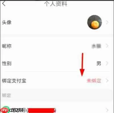 中青看点怎么绑定支付宝账号
