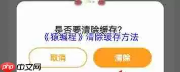 猿编程如何清理缓存