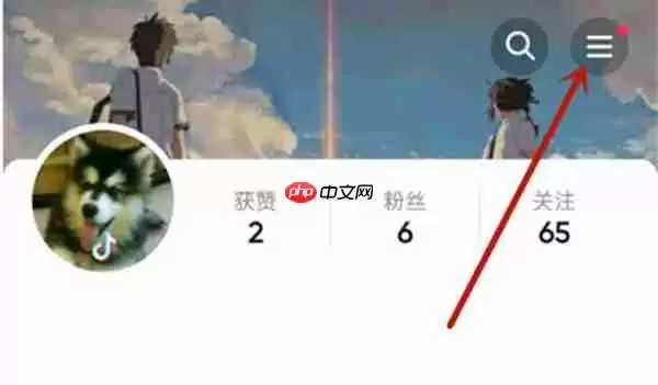 抖音怎么设置隐身状态