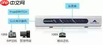 freeok网站入口在哪