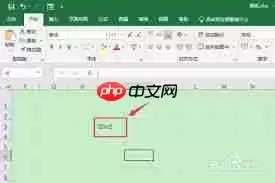 怎么在excel中打出平方符号