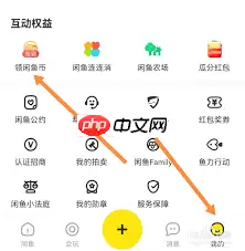 如何提高闲鱼曝光率