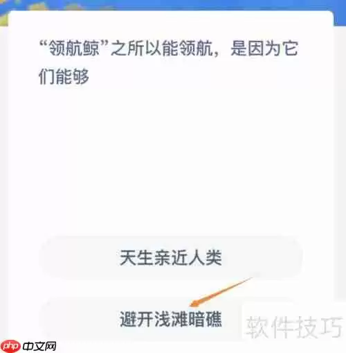 领航鲸的领航秘密:它们能够做到的原因