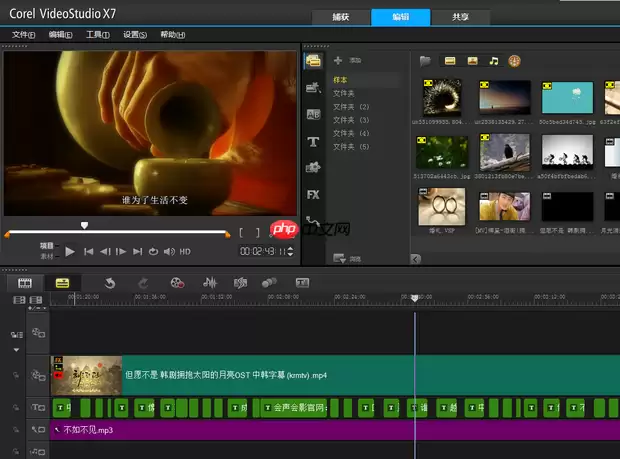 会声会影x9如何调色?会声会影x9调色的方法