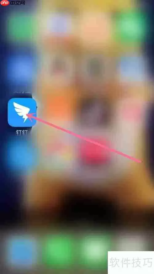 钉钉发起与结束视频会议的方法