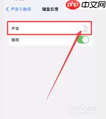 如何关闭iPhone14键盘按键声音