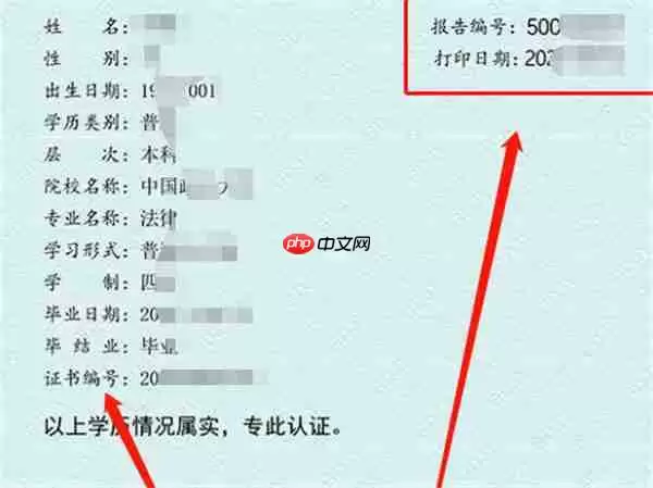 学信网编号在哪里查询