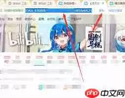 哔哩哔哩如何查看弹幕发送者