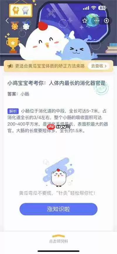 支付宝蚂蚁庄园8.18日答案是什么
