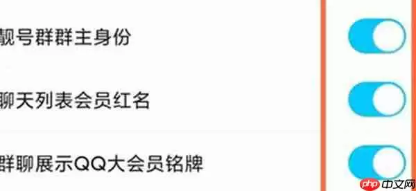 QQ会员铭牌怎么取消展示