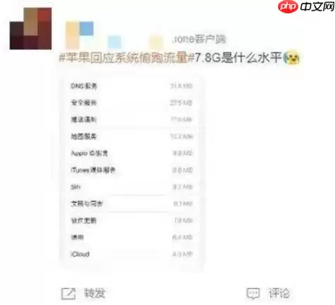 苹果手机流量偷跑怎么办