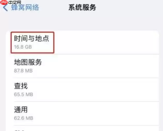 苹果手机流量偷跑怎么办