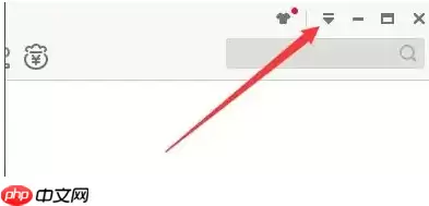 迅雷极速版如何更改背景展示最大速度？迅雷极速版更改背景展示最大速度的方法