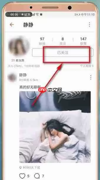 探探如何取消关注？取消关注的步骤分享