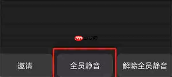 钉钉怎么开启全员静音的功能