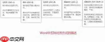 WPS文字中四种对齐方式有什么效果展现