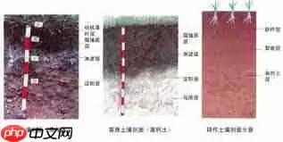 土壤为底图土层中心土层和什么