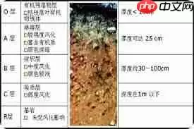 土壤为底图土层中心土层和什么