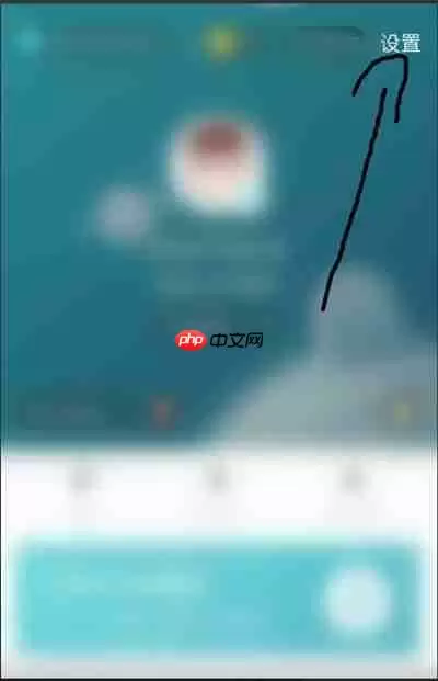 Soul怎么开启夜间模式