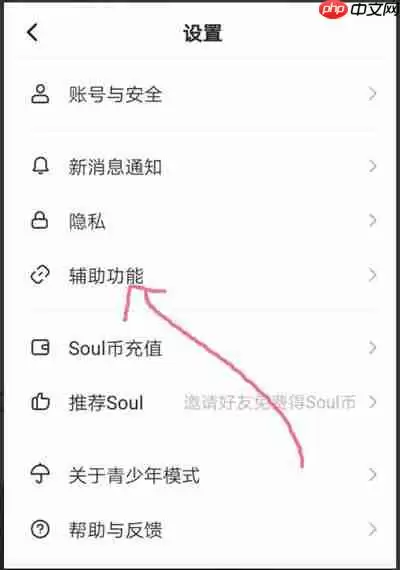 Soul怎么开启夜间模式