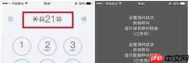 如何关闭iphone来电转移