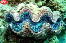 支付宝神奇海洋砗磲名字源于什么