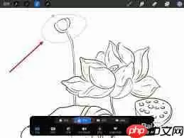 procreate如何选区移动