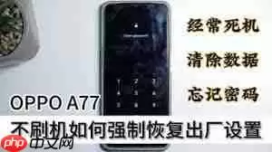 OPPO刷机后如何恢复出厂设置