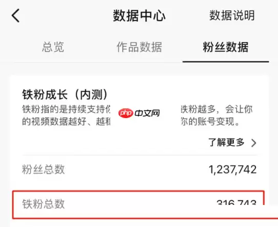 抖音铁粉是什么