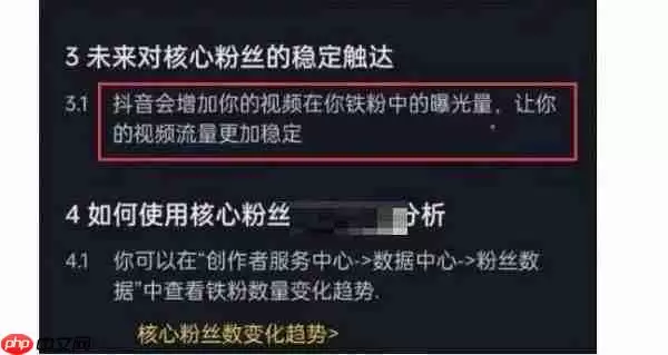 抖音铁粉是什么