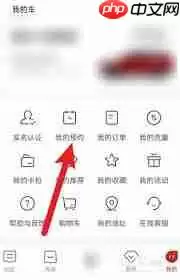 比亚迪海洋app怎么查看汽车保养