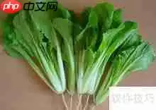 四五月份饮食原则：轻盈健康，迎接春夏！