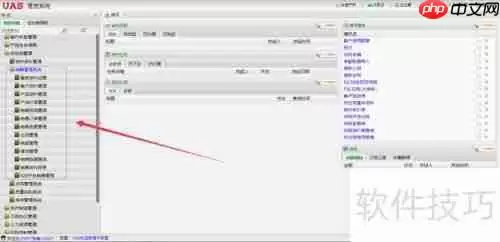 UAS系统：供应链管理软件解决方案