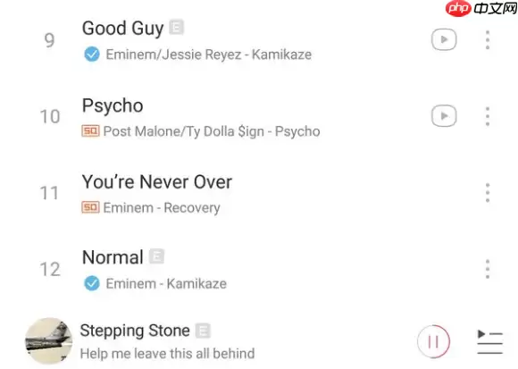 网易云音乐e标是什么意思
