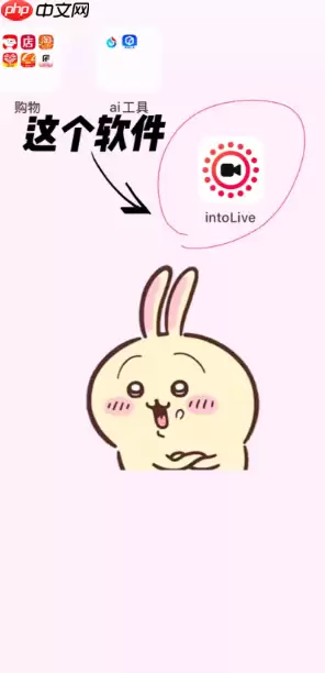 intoLive官网入口 intoLive无法打开的原因及解决方法