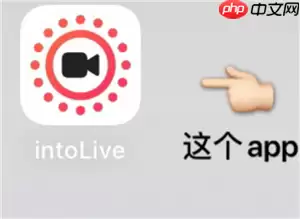 intoLive官网入口 intoLive无法打开的原因及解决方法
