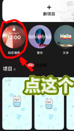 intoLive官网入口 intoLive无法打开的原因及解决方法
