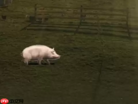 微信农场为什么这么火