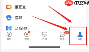 支付宝怎么查看家庭积分