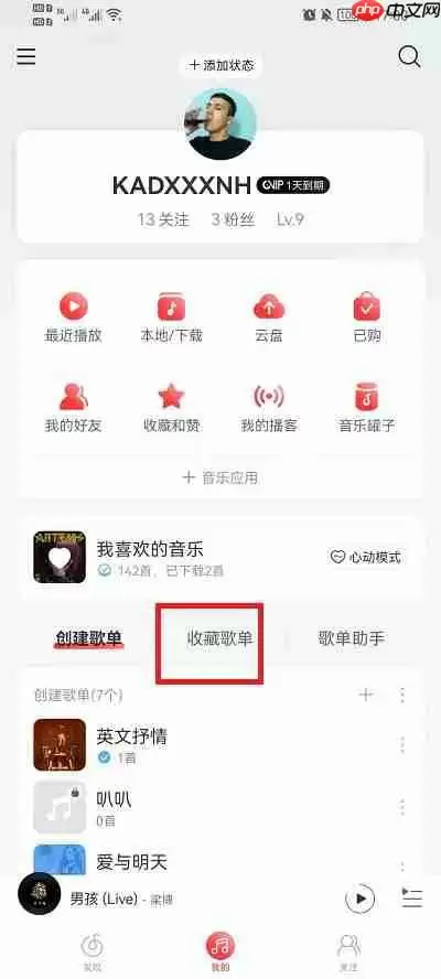 网易云音乐收藏的歌单在哪里
