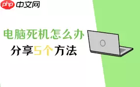 电脑老是死机卡住不动怎么解决