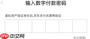 京东数字支付密码是什么意思 京东数字支付密码没设置过怎么办