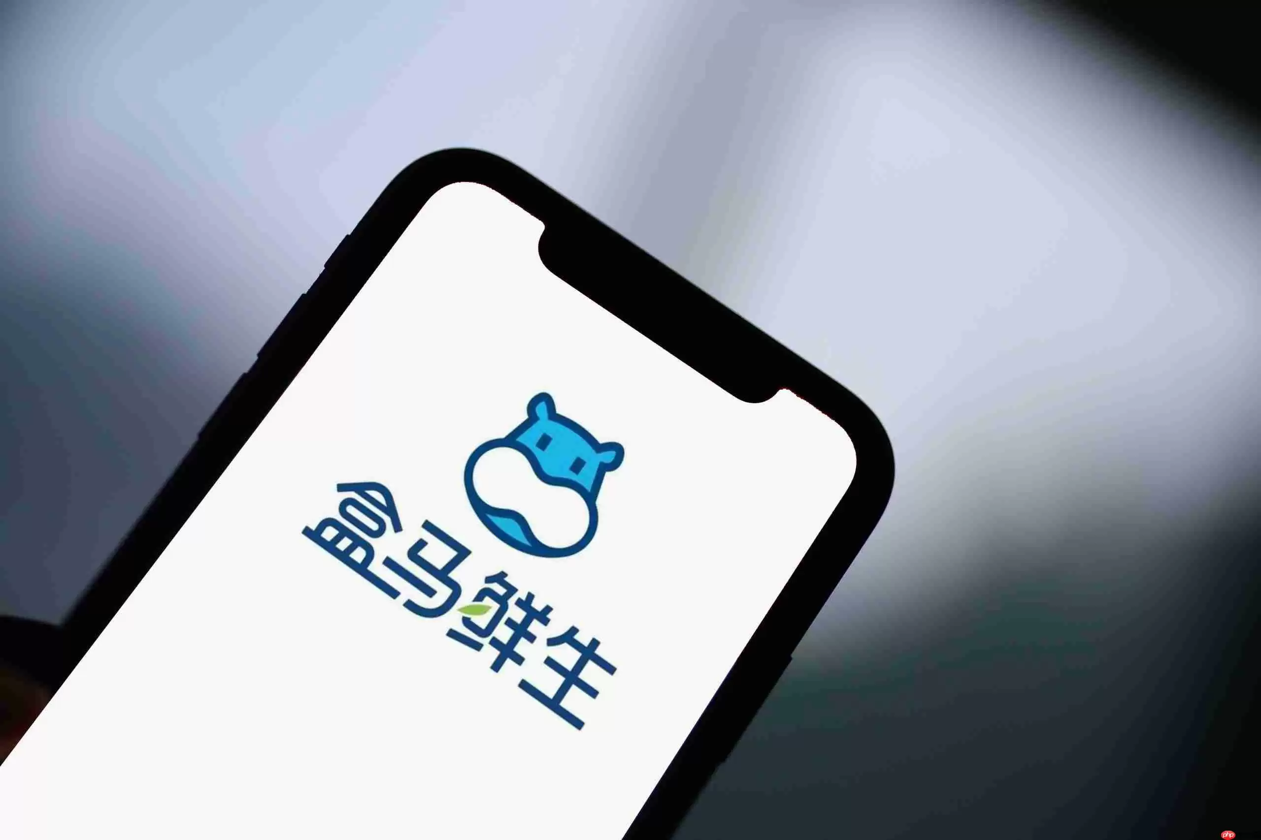 盒马鲜生和盒马奥莱区别介绍