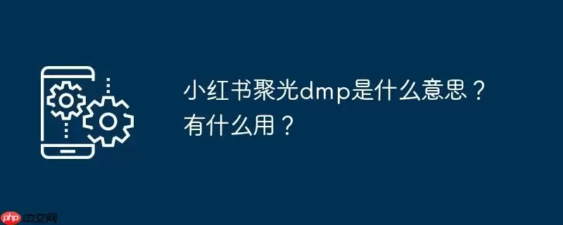 小红书聚光dmp是什么意思？有什么用？