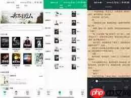 小说连载速度快的软件有哪些推荐