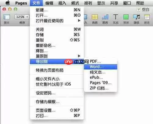 pages怎么格式保存 格式保存方式一览