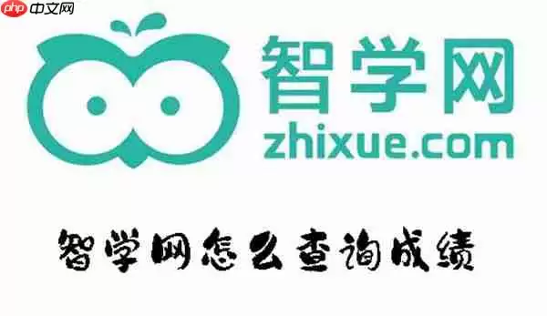 智学网怎么查询成绩