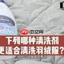 哪种清洗羽绒服的方式更科学